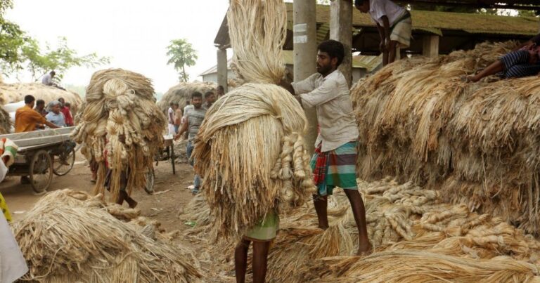পাটপণ্য